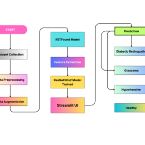 A Novel Transformer Model With Multiple Instance Learning for Diabetic Retinopathy Classification
