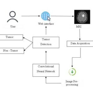 Brain Tumor Identification and Classification of MRI images using deep learning techniques