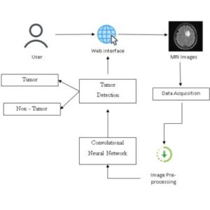 Brain Tumor Detection and Classification Using Convolutional Neural Network (CNN)