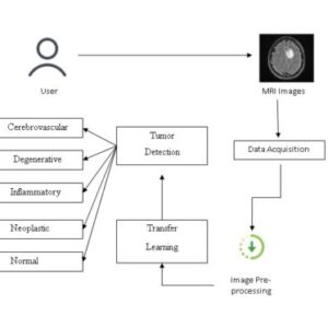 Brain Tumor Detection and Classification Using Intelligence Techniques An Overview