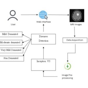 DeepCurvMRI: Deep Convolutional Curvelet Transform-based MRI Approach for Early Detection of Alzheimer’s disease