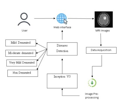 DeepCurvMRI: Deep Convolutional Curvelet Transform-based MRI Approach for Early Detection of Alzheimer’s disease