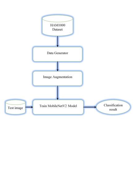DeepSkin A Deep Learning Approach for Skin Cancer Classification