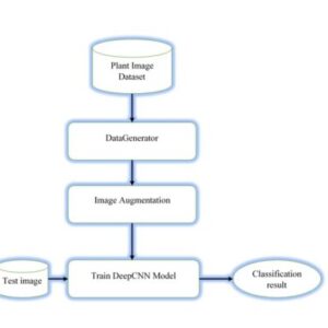 Detection of Apple Plant Diseases Using Leaf Images Through Convolutional Neural Network