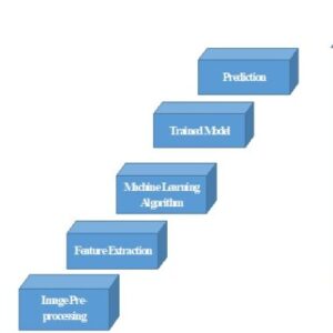 Detection of Cardiovascular Diseases in ECG Images Using Machine Learning and Deep Learning Methods