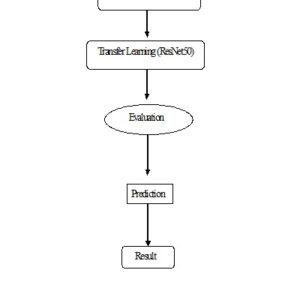 Facilitating Leucocyte Count Using Deep Learning A Paradigm Shift