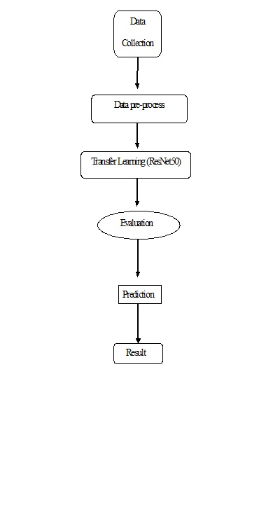 Unsupervised Deep Learning of Compact Binary Descriptors