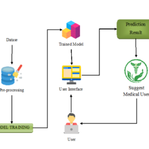 Integration of Traditional Knowledge and Modern Science: A Holistic Approach to Identify Medicinal Leaves for Curing Diseases