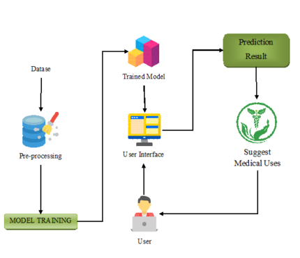 Integration of Traditional Knowledge and Modern Science: A Holistic Approach to Identify Medicinal Leaves for Curing Diseases