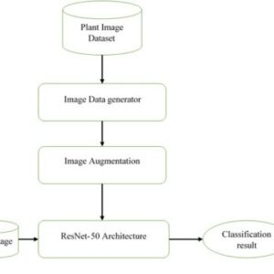 Leaf Disease Detection Based on Lightweight Deep Residual Network and Attention Mechanism