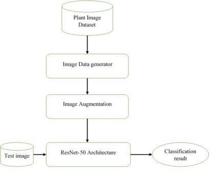 Leaf Disease Detection Based on Lightweight Deep Residual Network and Attention Mechanism
