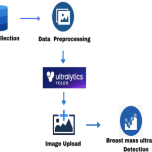 Lightweight Detection Algorithm for Breast-Mass Features in Ultrasound Images