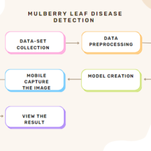 Mulberry Leaf Disease Detection Using CNN-Based Smart Android Application