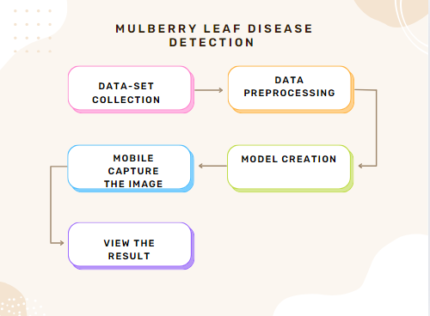 Mulberry Leaf Disease Detection Using CNN-Based Smart Android Application