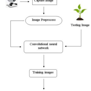 Plant Disease Detection and Classification by Deep Learning: A Review