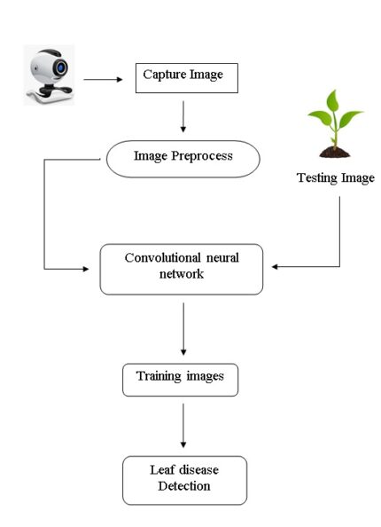 Plant Disease Detection and Classification by Deep Learning: A Review