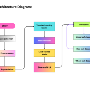 Real-Time Plant Disease Dataset Development and Detection of Plant Disease Using Deep Learning
