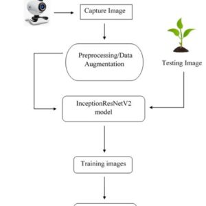 Text Mining and Emotion Classification on Monkey pox Twitter Dataset A Deep Learning Natural Language Processing NLP Approach
