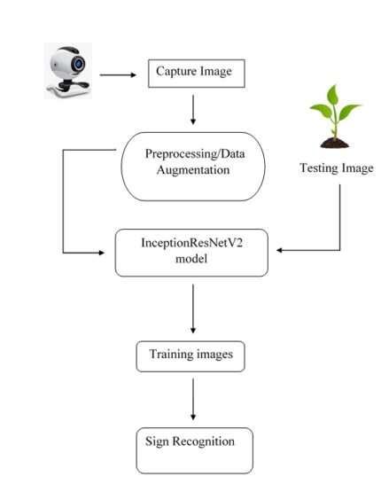 Text Mining and Emotion Classification on Monkey pox Twitter Dataset A Deep Learning Natural Language Processing NLP Approach