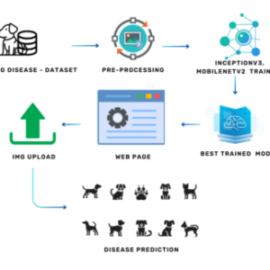 Canine Skin Disease Classification Using Convolutional Neural Networks (CNN)