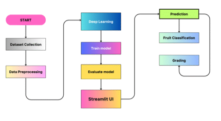 Multi-Fruit Classification and Grading Using a Same-Domain Transfer Learning Approach