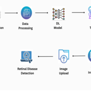 Octascope: A Lightweight Pre-Trained Model for Optical Coherence Tomography