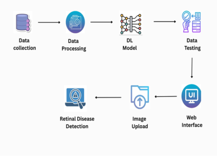 Octascope: A Lightweight Pre-Trained Model for Optical Coherence Tomography